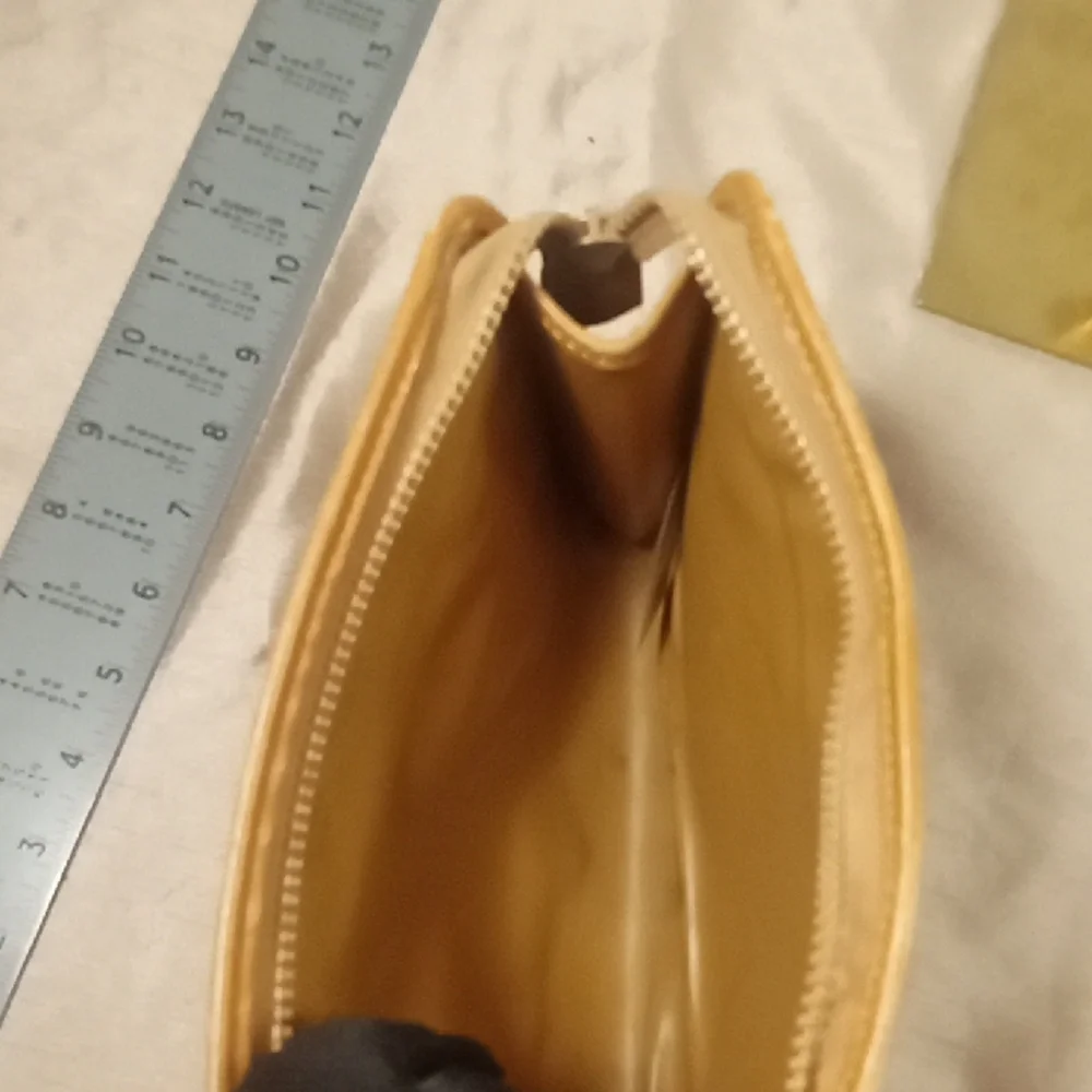 Celine Brown and Tan Pouch